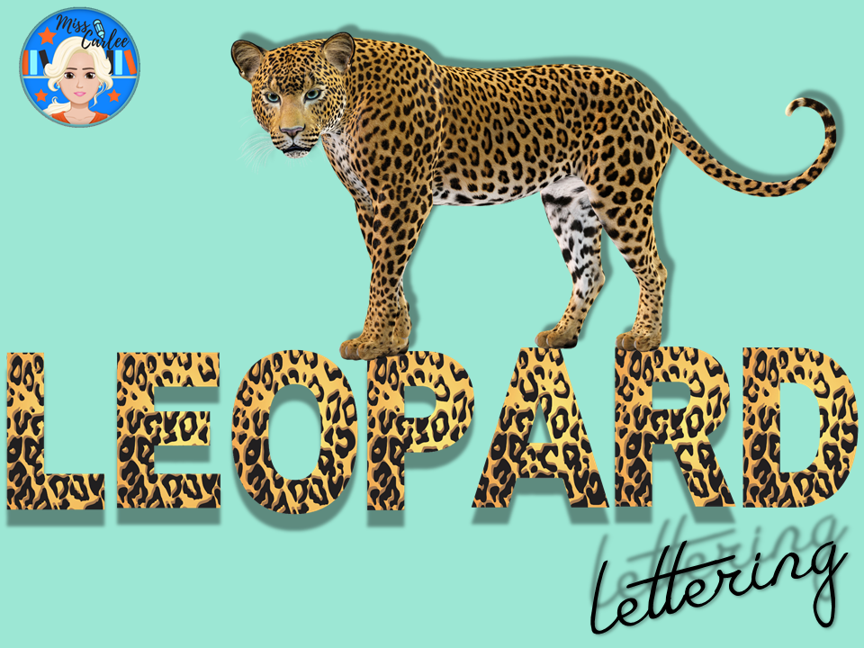 Animal Print Safari Leopard Letters and Numbers PNG